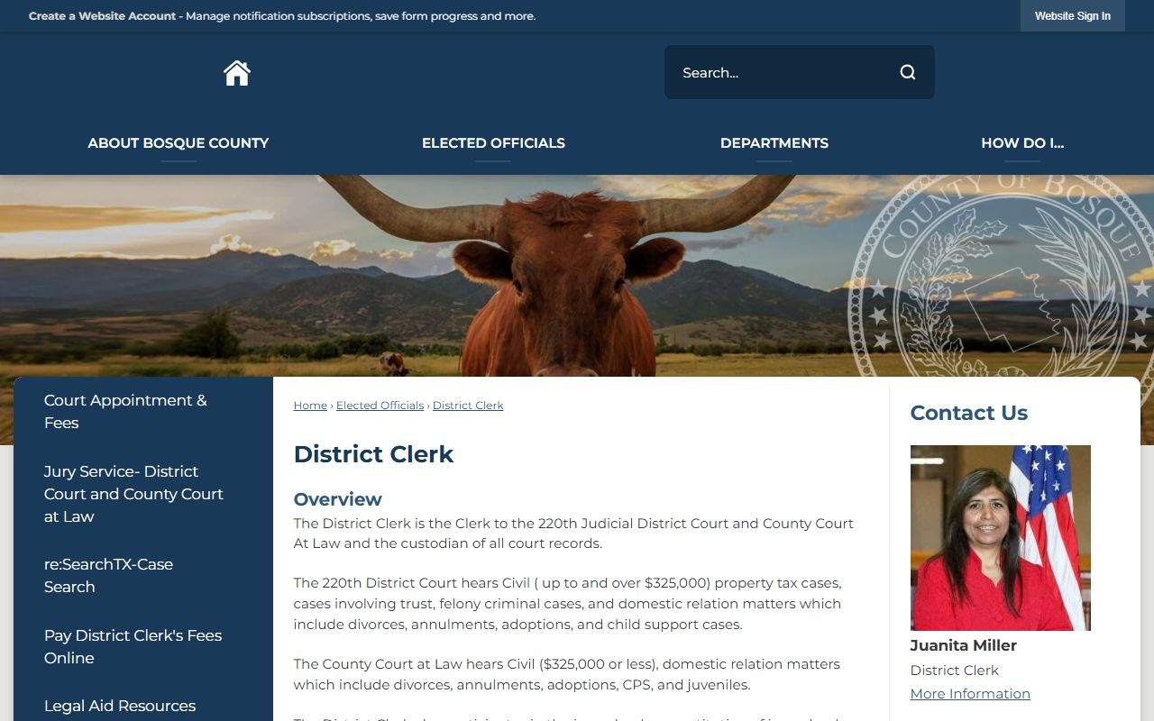 Bosque County District Clerk court records page